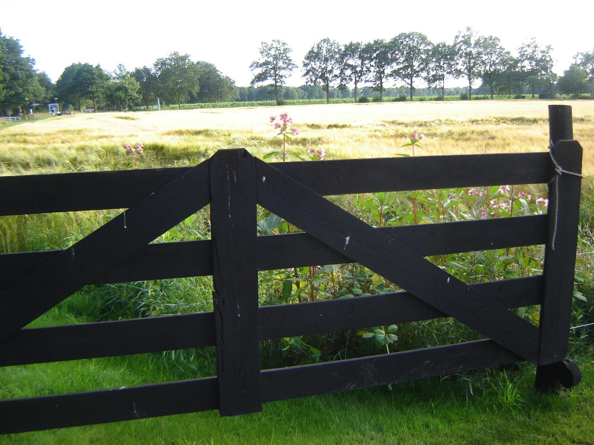 Bed En Breakfast De Boksloot Ravenswoud Bagian luar foto