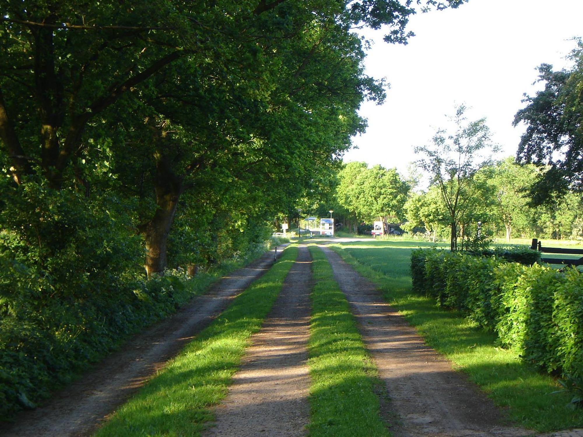 Bed En Breakfast De Boksloot Ravenswoud Bagian luar foto